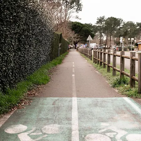Maison De Navarrosse Hébergement de vacances Biscarrosse