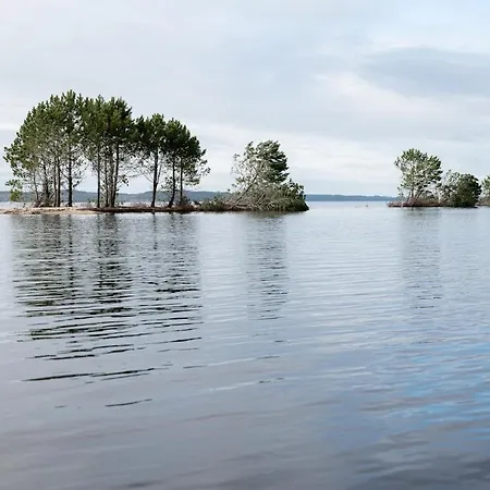 Hébergement de vacances Maison De Navarrosse Biscarrosse