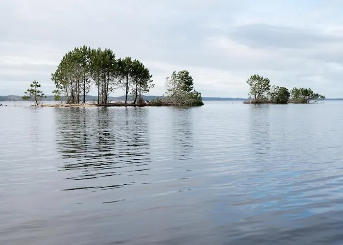 Vakantiehuis Maison De Navarrosse Biscarrosse