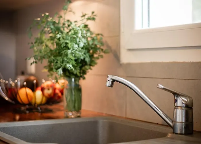 Maison De Navarrosse *